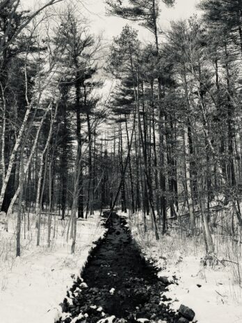 Winter at Dorrs Pond