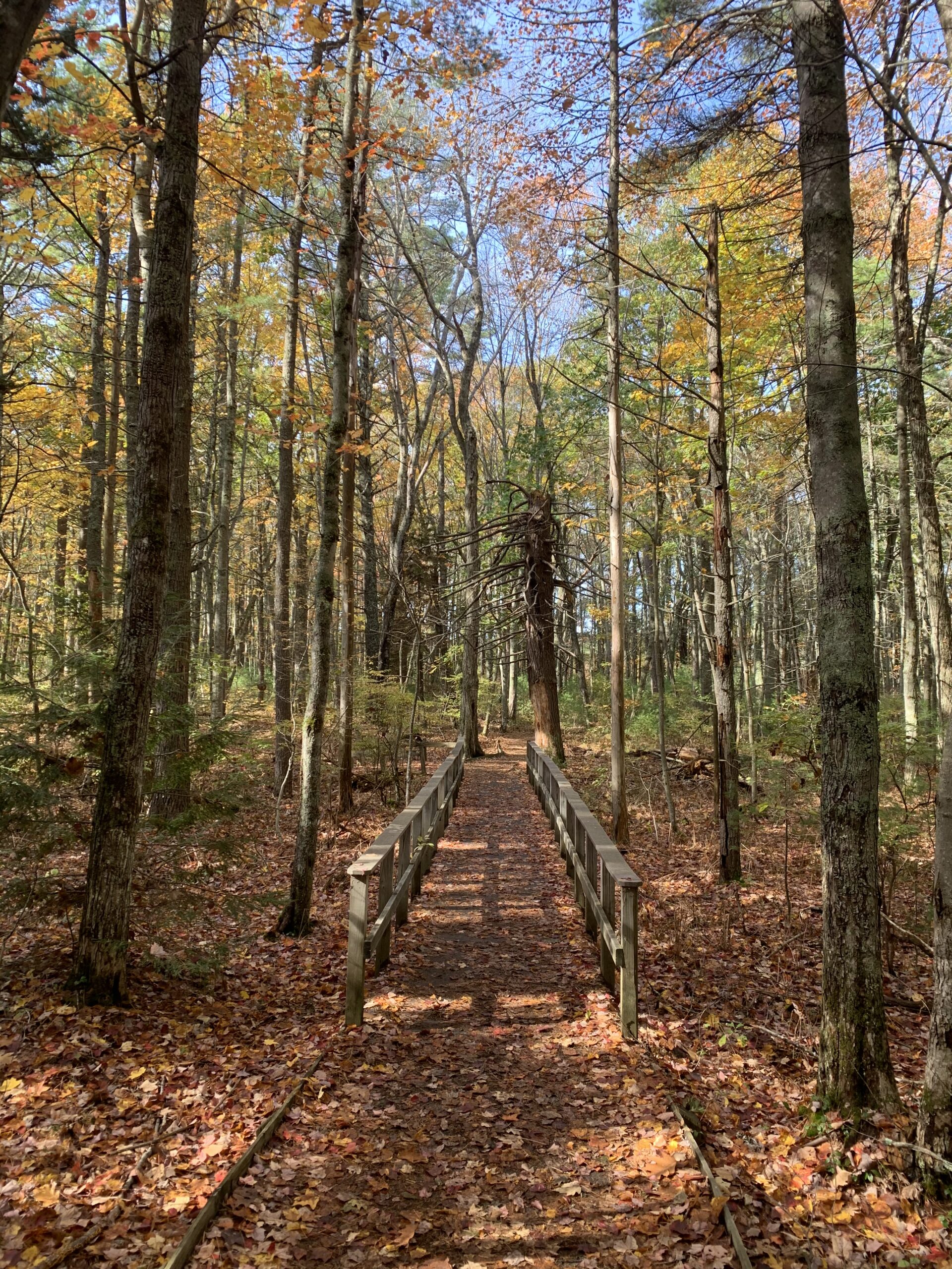Rachel Carson Nature Preserve, Kennebunk ME